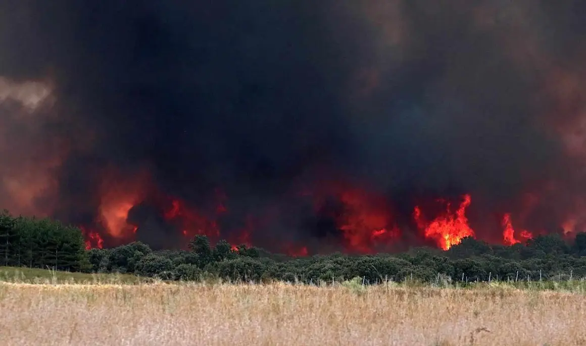 Imagen del avance de las llamas en Herreros de Jamuz.