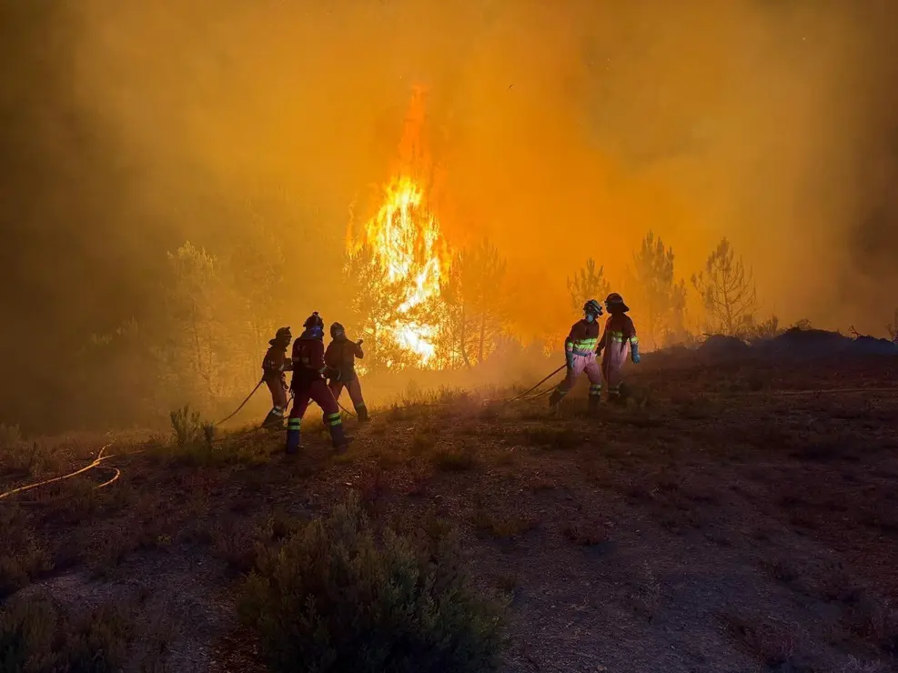 La UME durante su intervención en el incendio de Barniedo, en Boca de Huérgano. Foto: UME