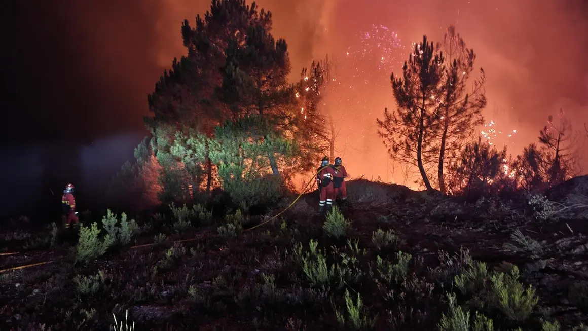 La UME durante su intervención en el incendio de Barniedo, en Boca de Huérgano. Foto: UME