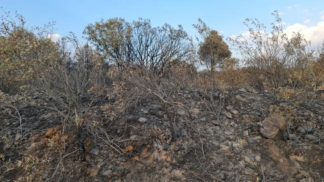Castrocalbón y San Esteban de NOgales (3)