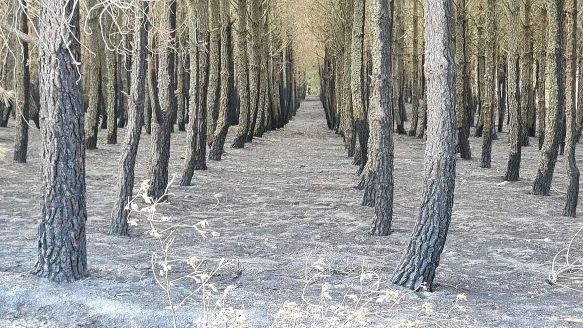 San Juan de Torres y Villanueva de Jamuz (8)