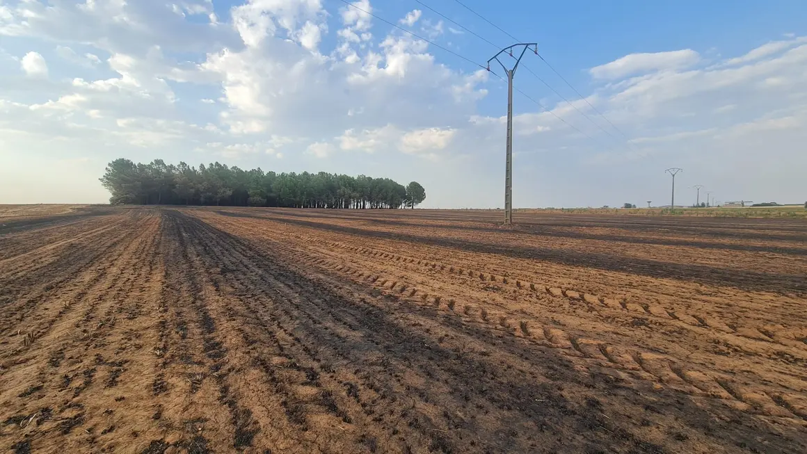 San Juan de Torres y Villanueva de Jamuz (13)
