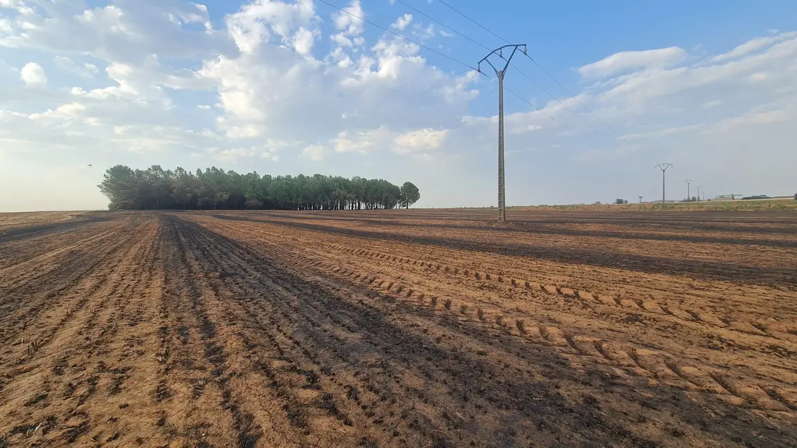 San Juan de Torres y Villanueva de Jamuz (14)