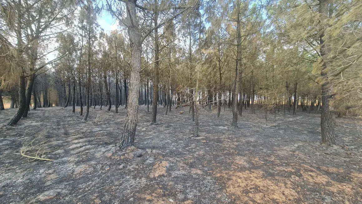 San Juan de Torres y Villanueva de Jamuz (16)