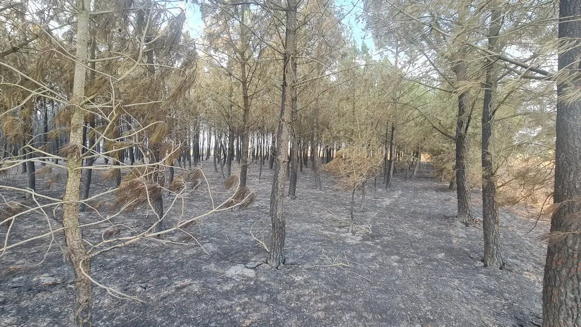 San Juan de Torres y Villanueva de Jamuz (17)