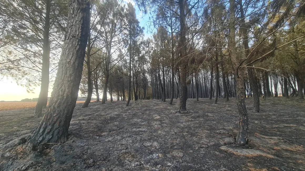 San Juan de Torres y Villanueva de Jamuz (18)