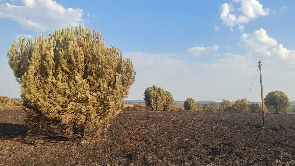 San Juan de Torres y Villanueva de Jamuz (21)