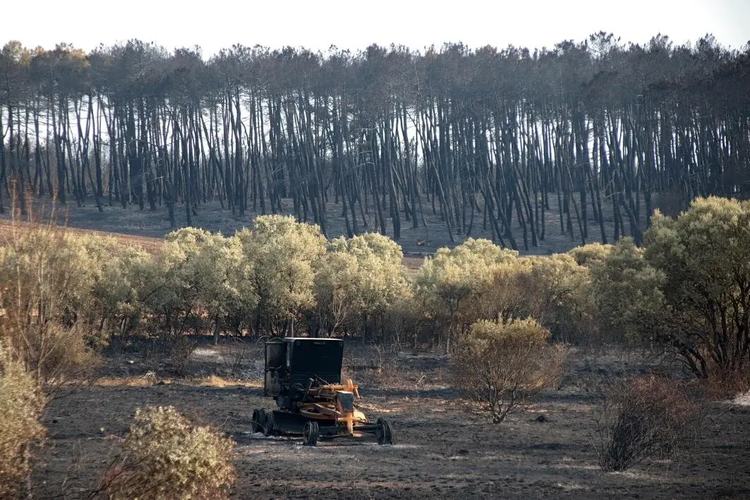 Efectos del incendio en la localidad leones de Herreros de Jamuz.