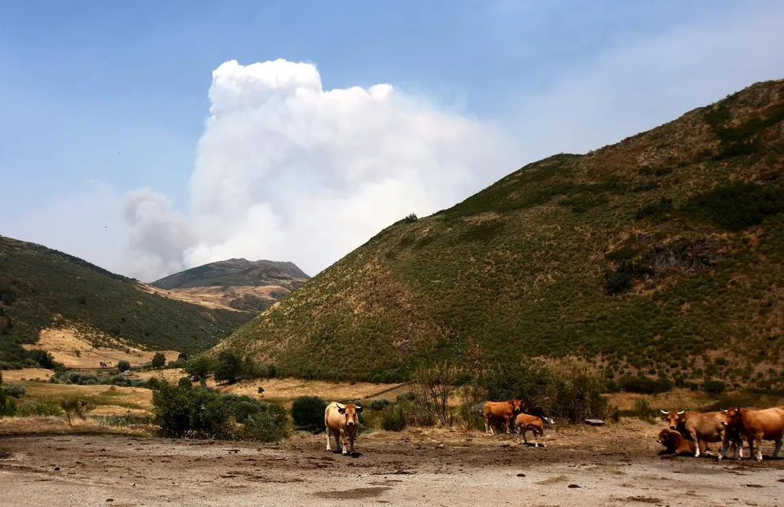 Incendios en León (1)