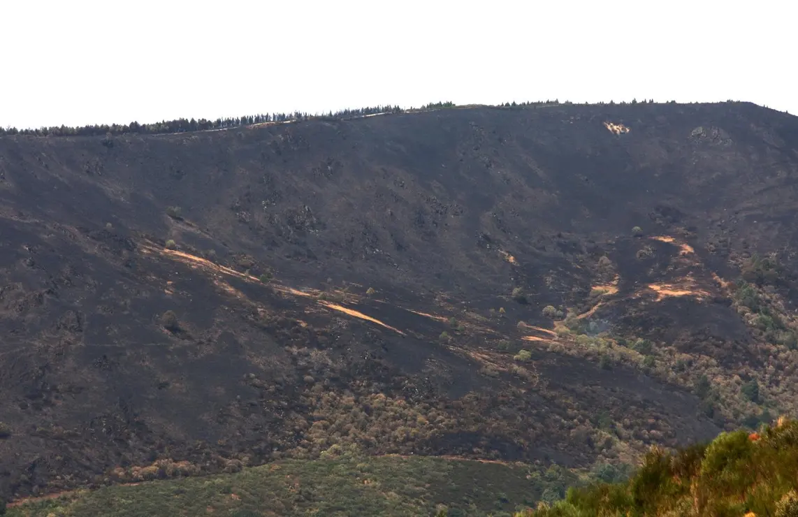Incendios en León (2)