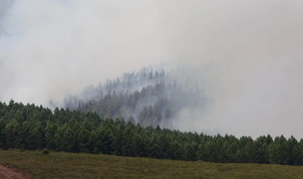 Incendios en León (7)