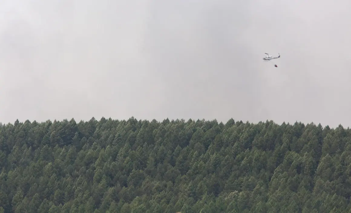 Incendios en León (9)