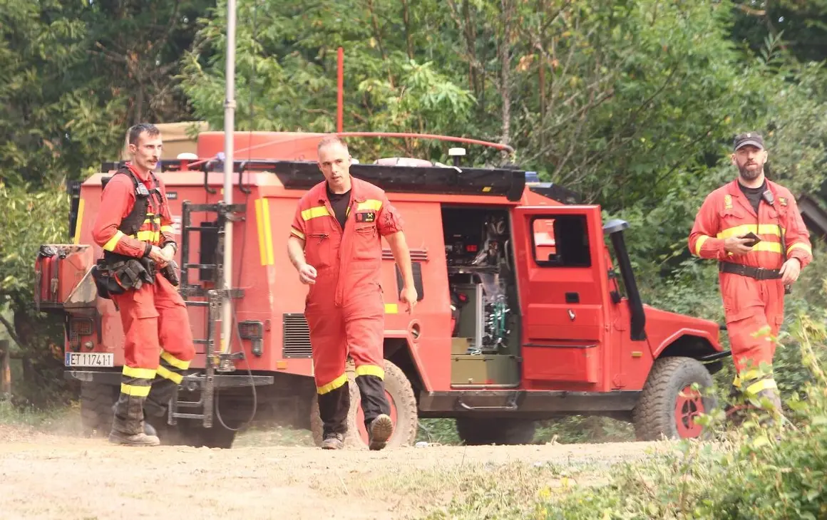 Militares de la UME desplegados en los incendios de León.