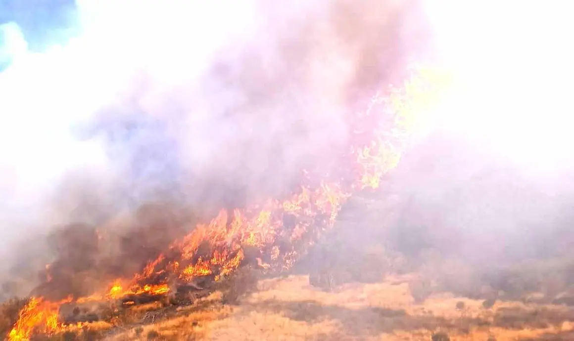 Incendios (1)
