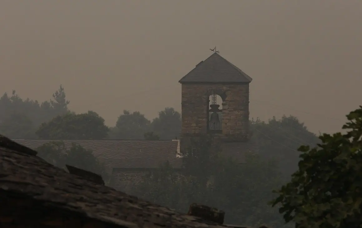 Incendios forestales (5)