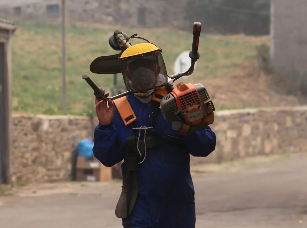 Incendios forestales (6)