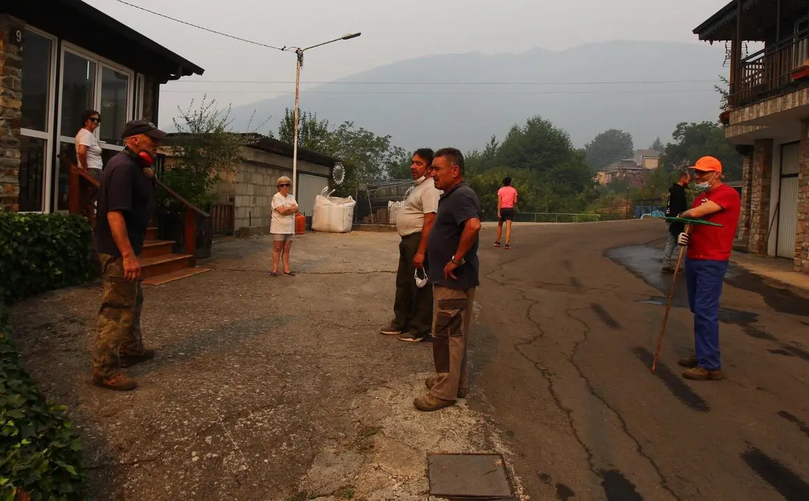 Incendios forestales (9)