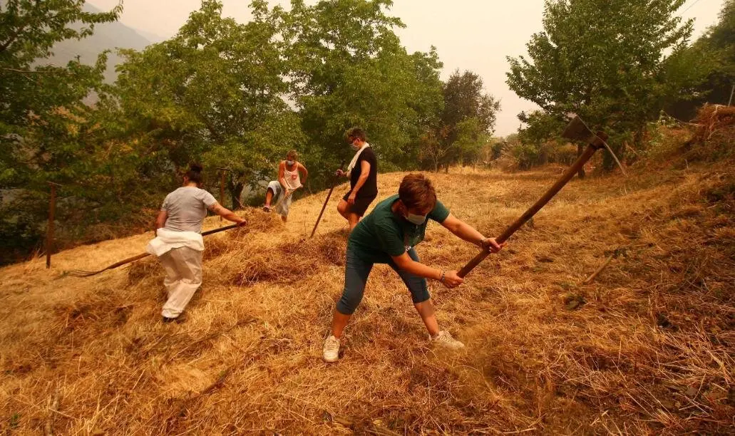 La amenaza que supone el incendio procedente de Orense que alcanzó territorio leonés en el municipio de Oencia y declarado nivel 2 del Índice de Gravedad Potencial (IGR) mantiene en alerta permanente a los vecinos de distintas localidades. Los de Lusio reclamaron hoy “tanto a la Junta como al Gobierno central, que se pongan las pilas” mientras realizaban cortafuegos en el pueblo. Fotos: César Hornija