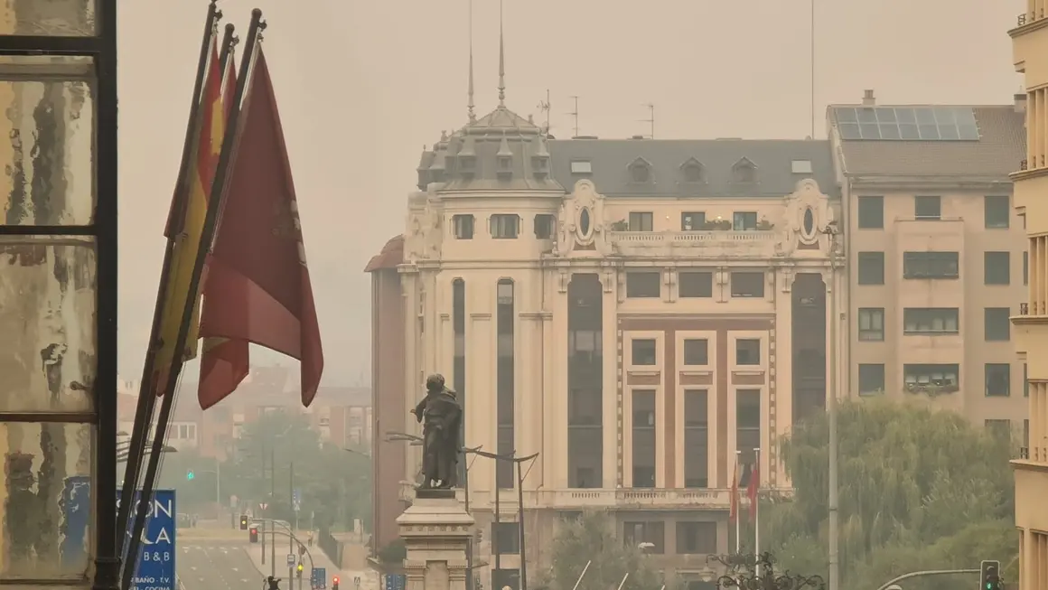 Incendio forestal (2)
