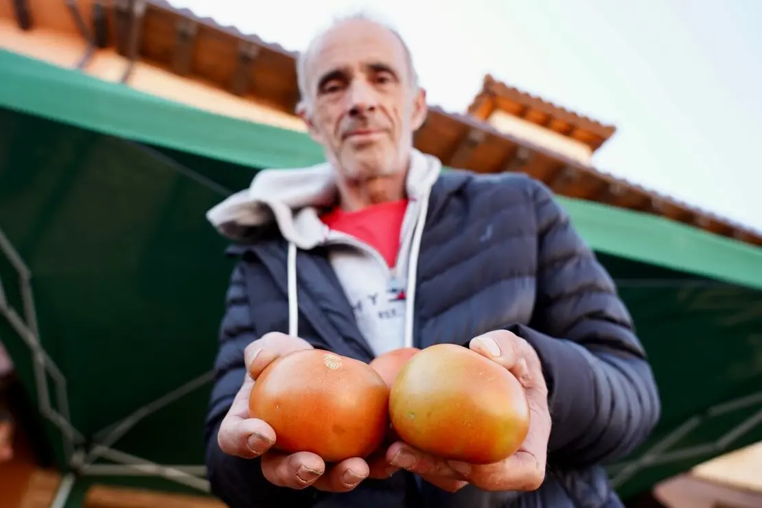 Celebración de la XXV edición de la Feria del Tomate de Mansilla de las Mulas