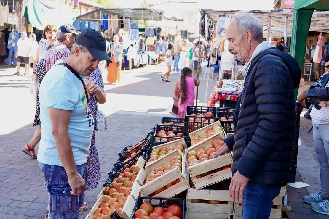 Celebración de la XXV edición de la Feria del Tomate de Mansilla de las Mulas