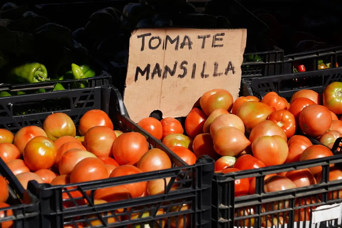 Celebración de la XXV edición de la Feria del Tomate de Mansilla de las Mulas