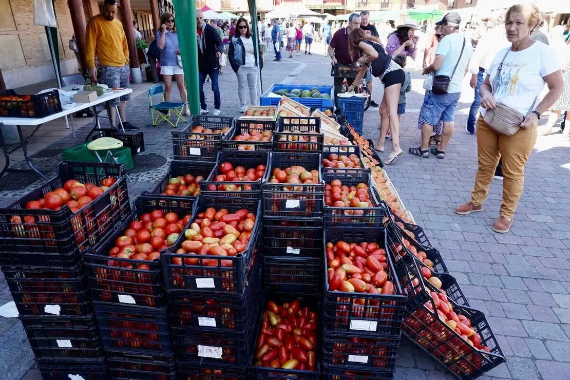 Celebración de la XXV edición de la Feria del Tomate de Mansilla de las Mulas