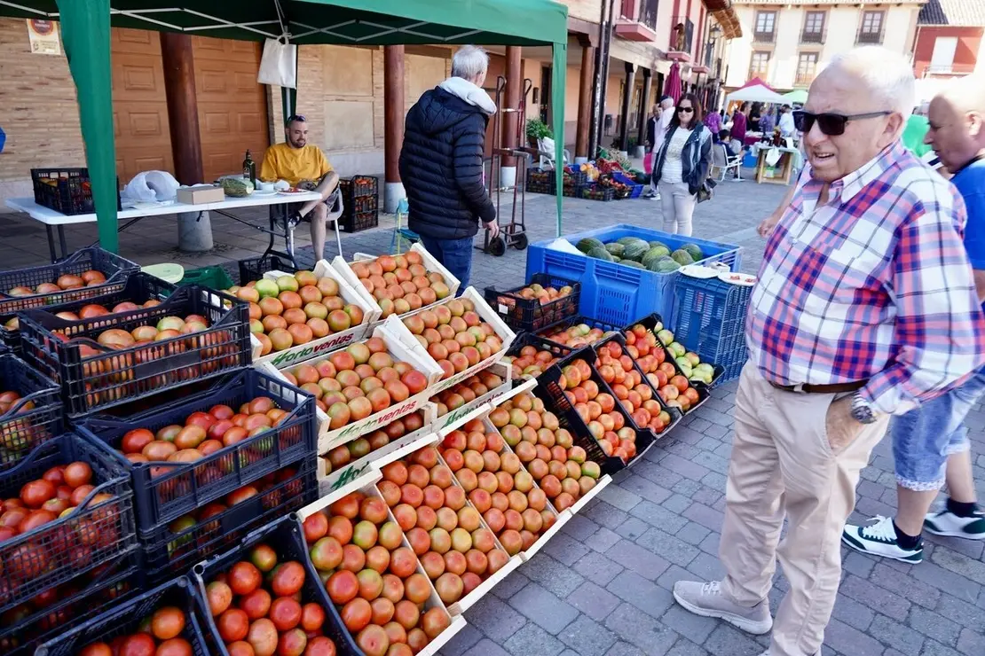 Celebración de la XXV edición de la Feria del Tomate de Mansilla de las Mulas