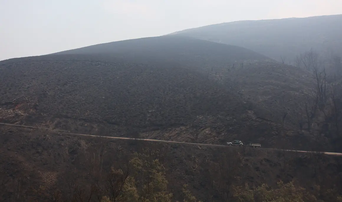 Incendio en el municipio de Oencia (León)