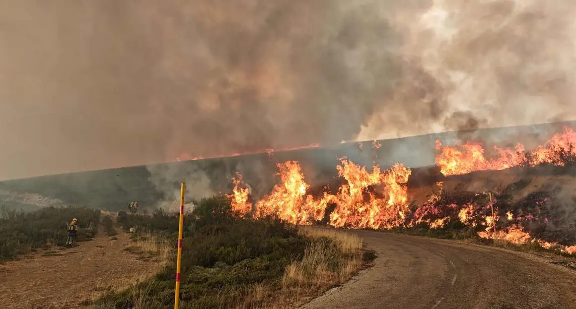 Fuego (1)