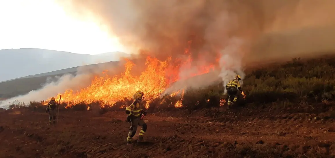 Brigadistas interviniendo durante un incendio.