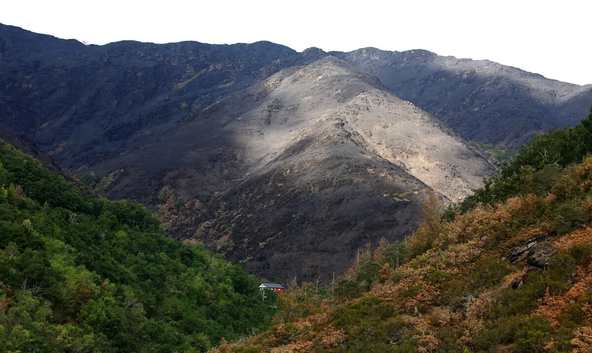 Efectos del incendio que ha afectado al municipio de Oencia (León)