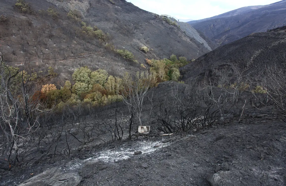 Efectos del incendio que ha afectado al municipio de Oencia (León)