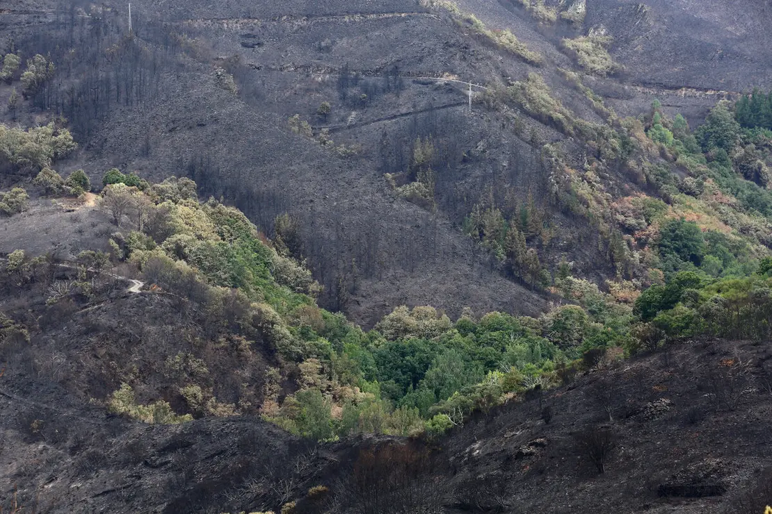 Efectos del incendio que ha afectado al municipio de Oencia (León)