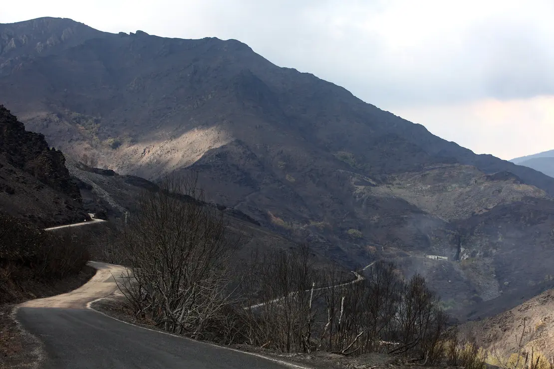 Efectos del incendio que ha afectado al municipio de Oencia (León)
