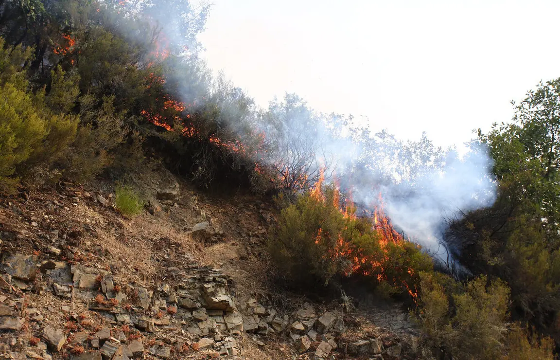 Incendio en Colinas del Campo de Martín Moro Toledano perteneciente al municipio de Igüeña (León)
