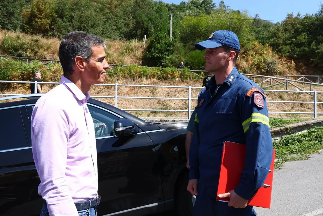 Pedro Sánchez (16)