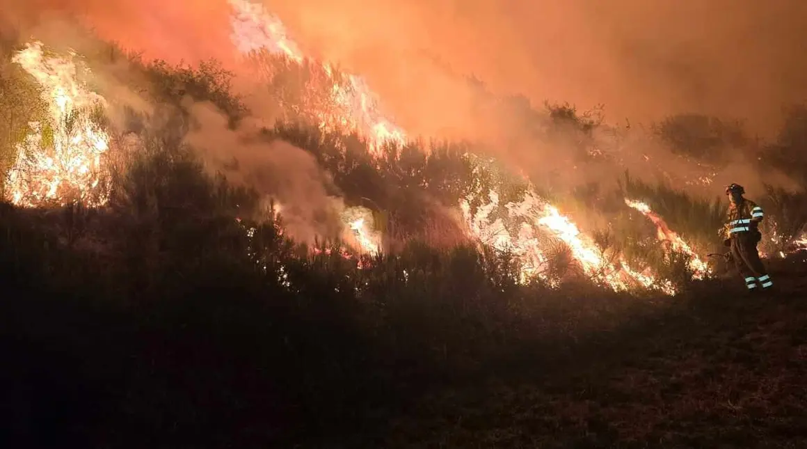 Imágenes de la Unidad Militar de Emergencias (UME) en el incendio de Barniedo esta noche.