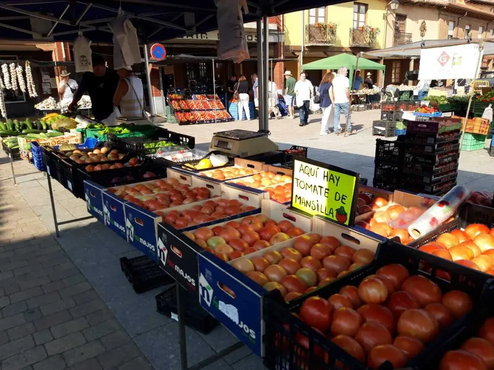 Tomate de Mansilla (1)