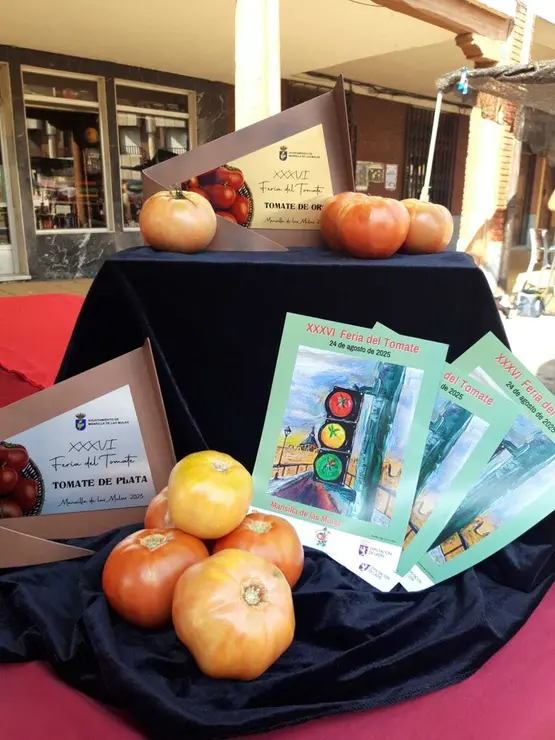 Tomate de Mansilla (2)