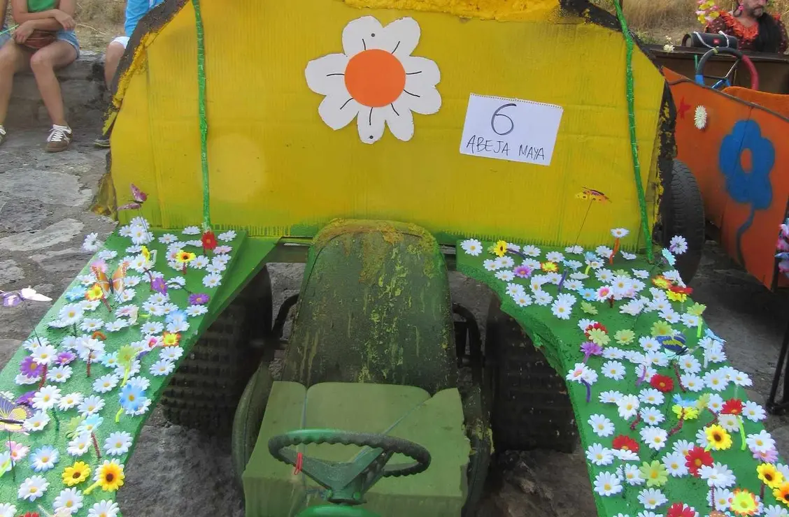 Autos locos (7)