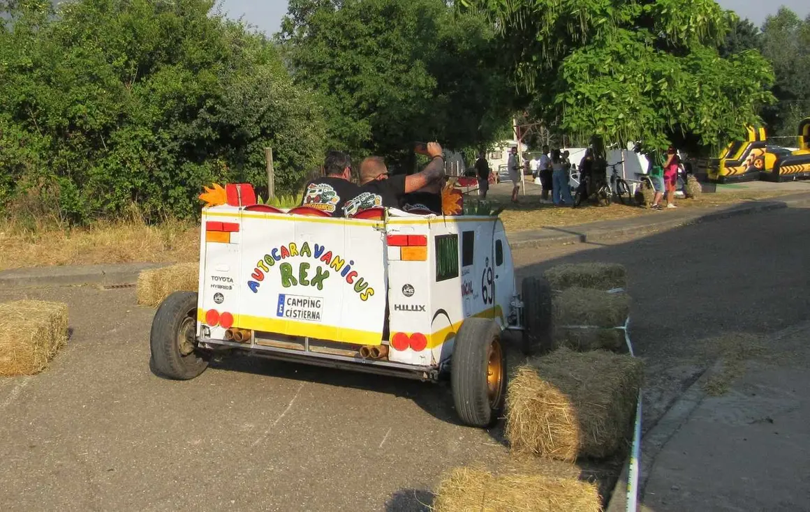 Autos locos (23)