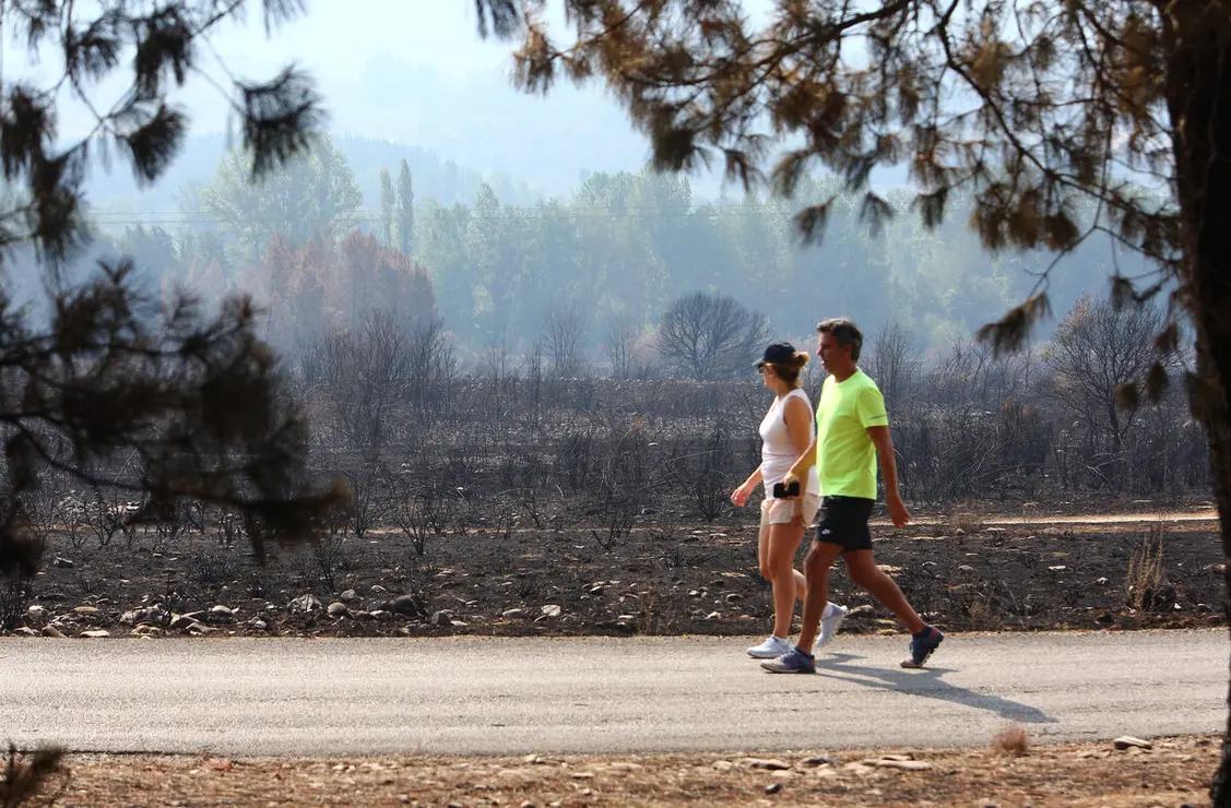 Efectos del incendio de Castropodame (León)