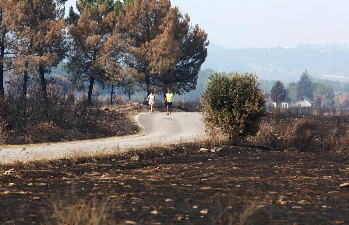 Efectos del incendio de Castropodame (León)
