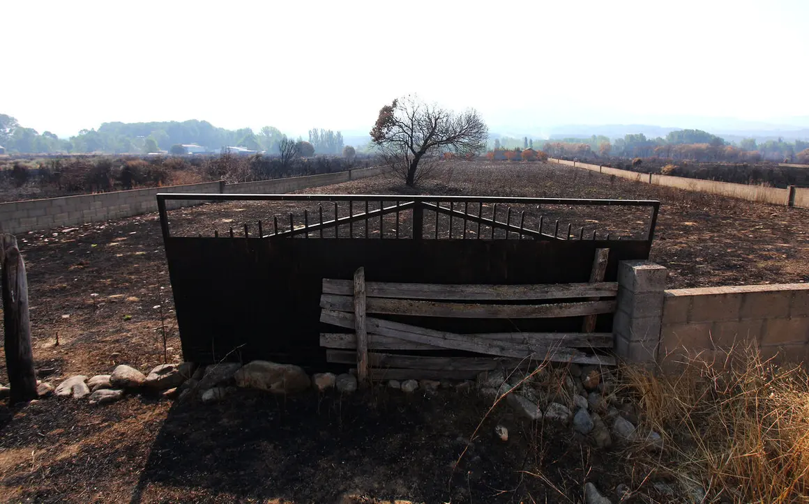 Efectos del incendio de Castropodame (León)