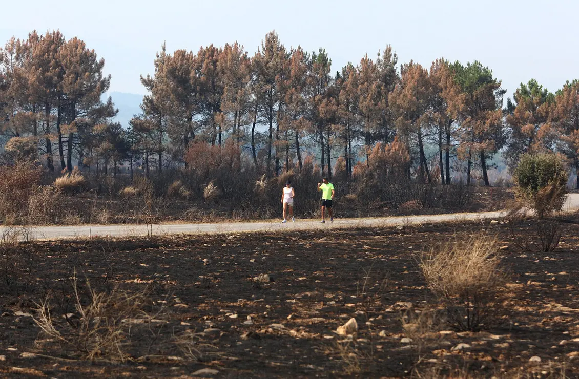 Efectos del incendio de Castropodame (León)