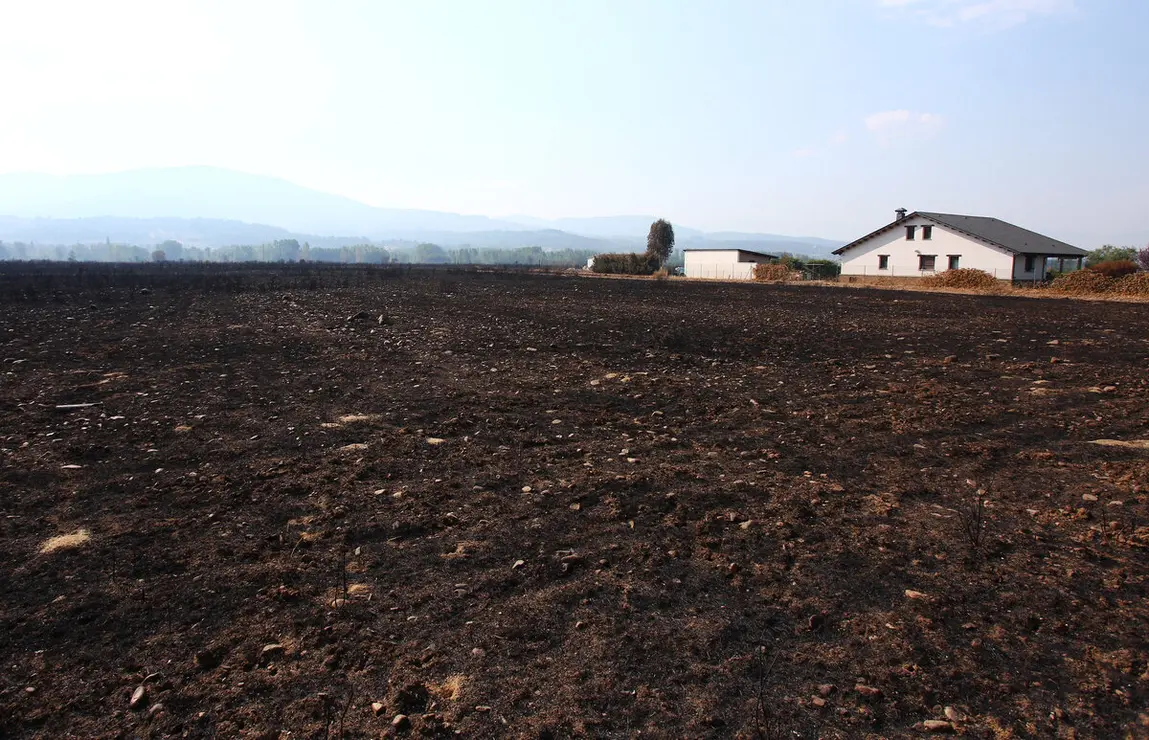 Efectos del incendio de Castropodame (León)