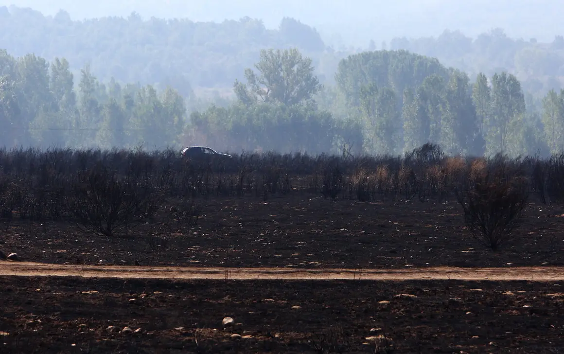 Efectos del incendio de Castropodame (León)