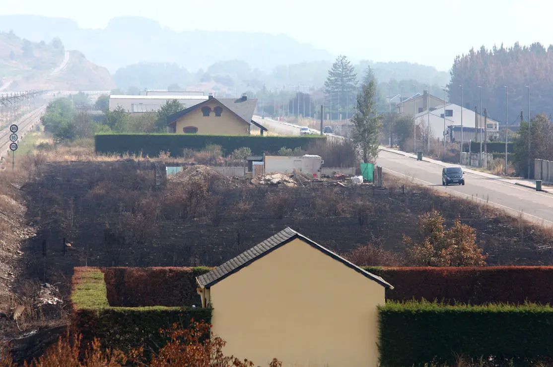 Efectos del incendio de Castropodame (León)