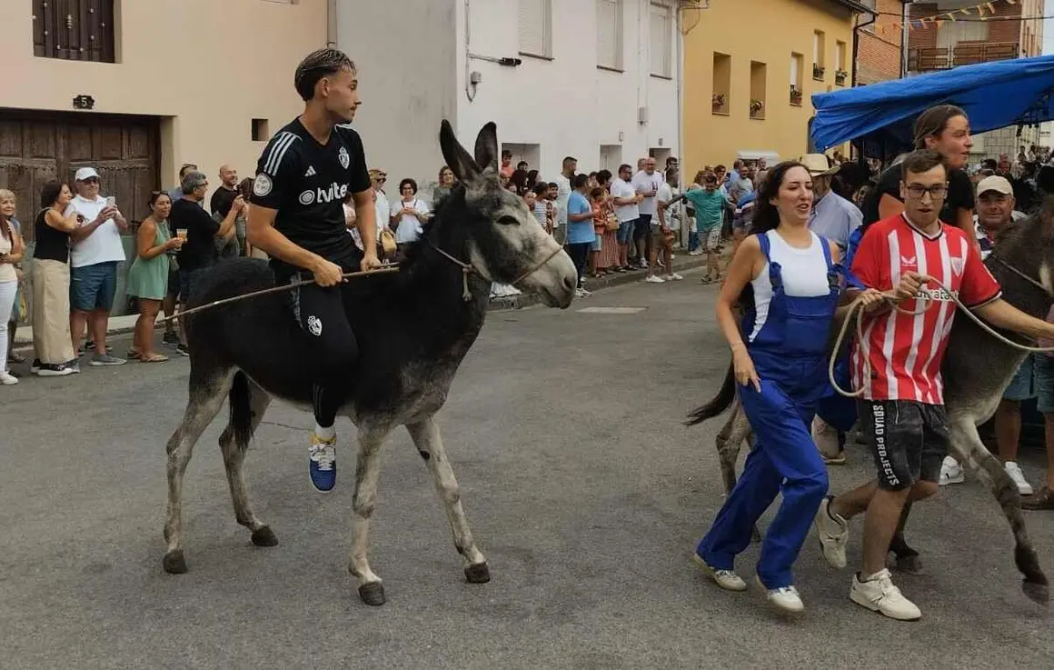burros (9)